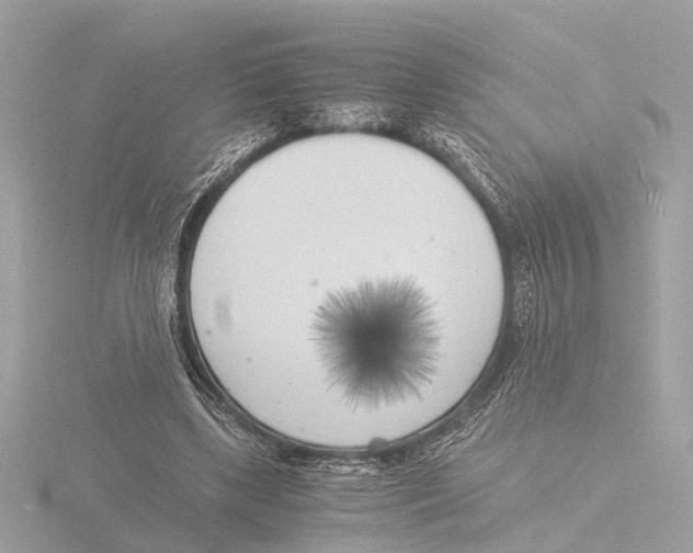 X0000116140443200912211451