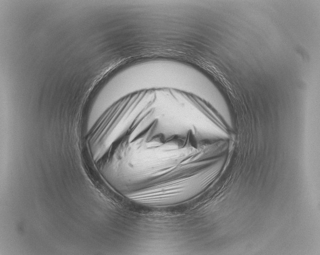 X0000116140444200912211451