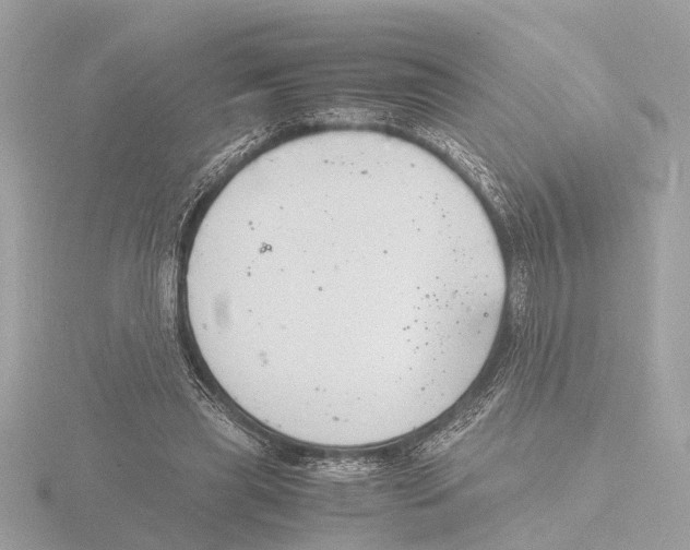 X0000116140445200912211451