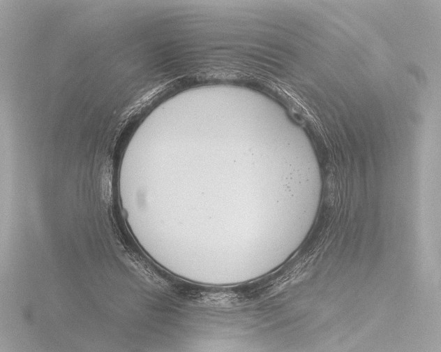 X0000116140446200912211451