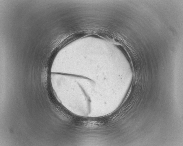 X0000116140448200912211451