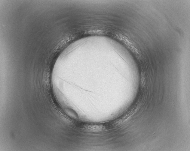 X0000116140449200912211451