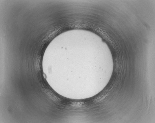 X0000116140450200912211451