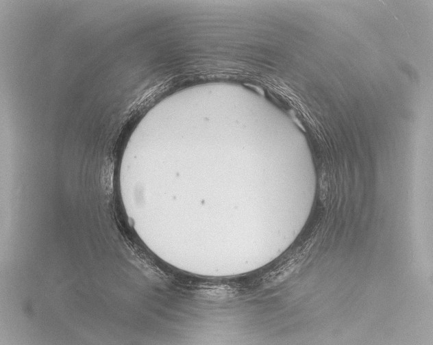 X0000116140454200912211452