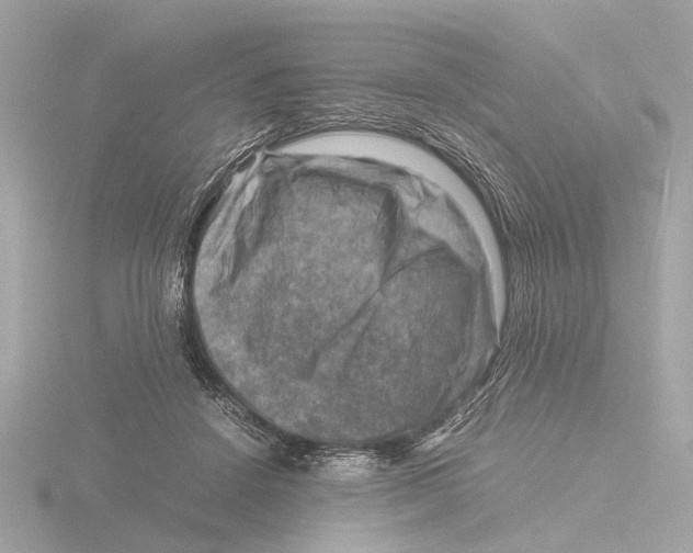 X0000116140456200912211452