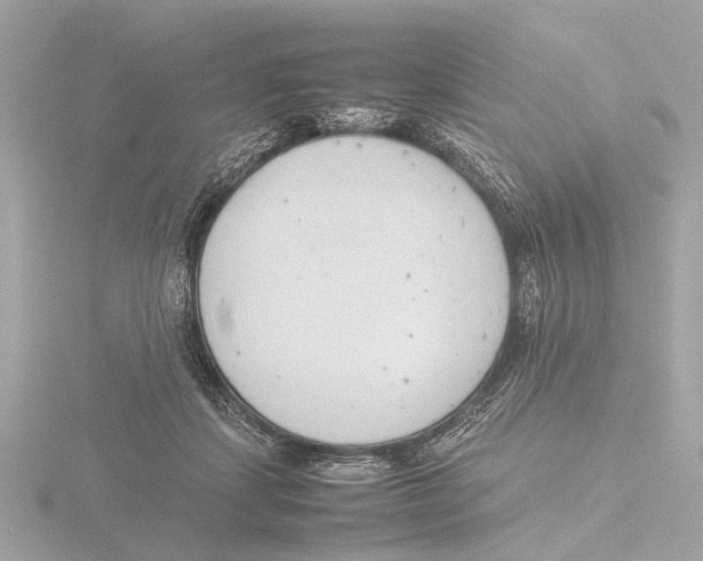 X0000116140459200912211452