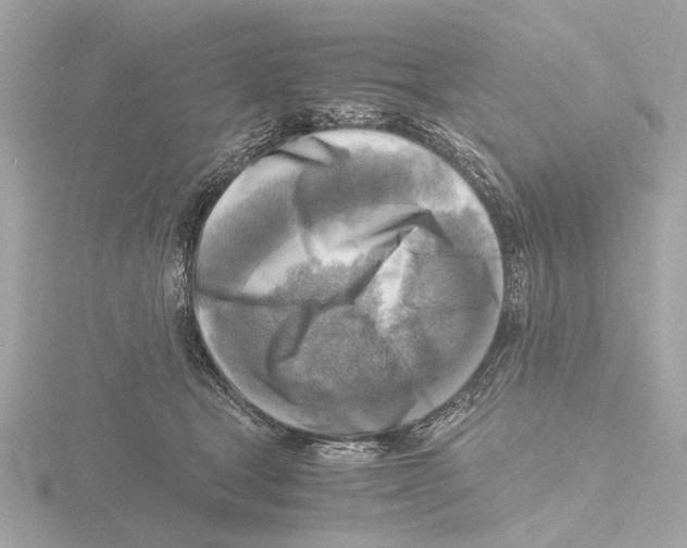 X0000116140465200912211452