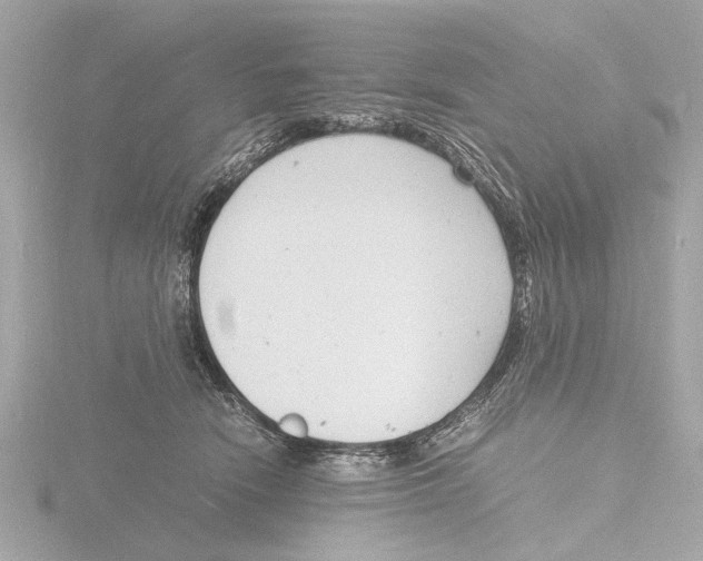 X0000116140466200912211452