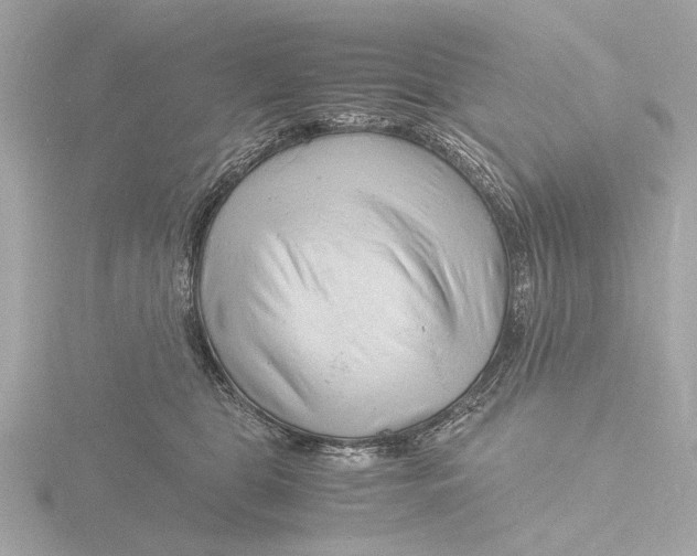 X0000116140469200912211452