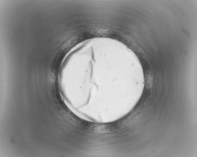 X0000116140472200912211452