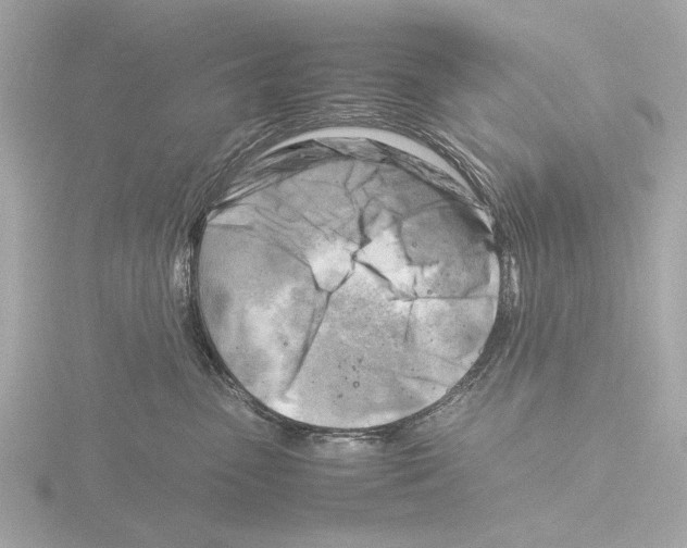 X0000116140475200912211452