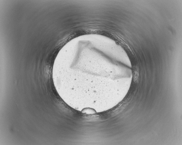 X0000116140476200912211452