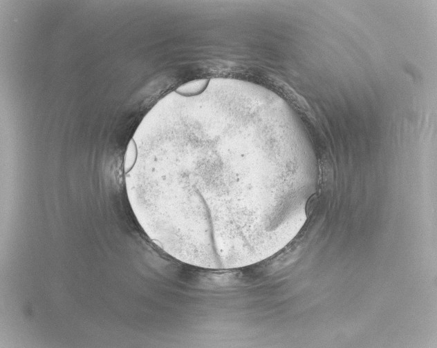 X0000116140479200912211452