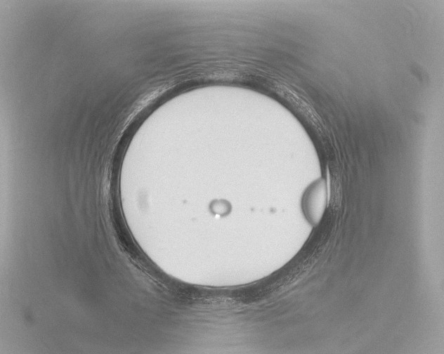 X0000116140483200912211451