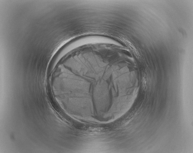 X0000116140484200912211451