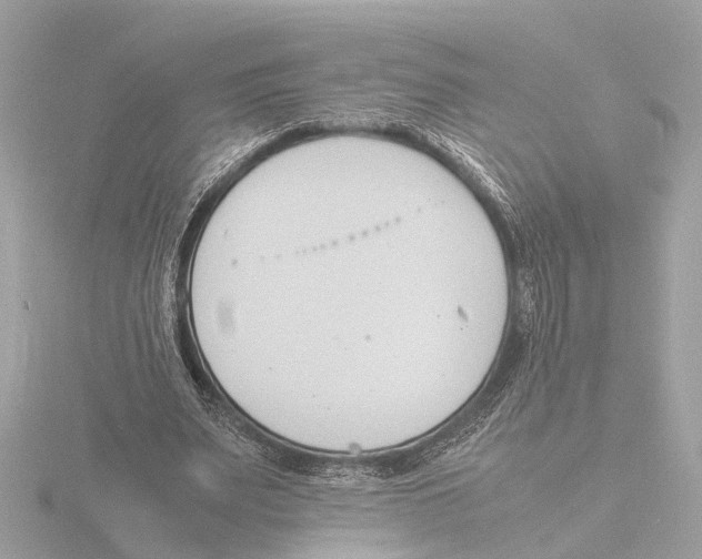 X0000116140487200912211451