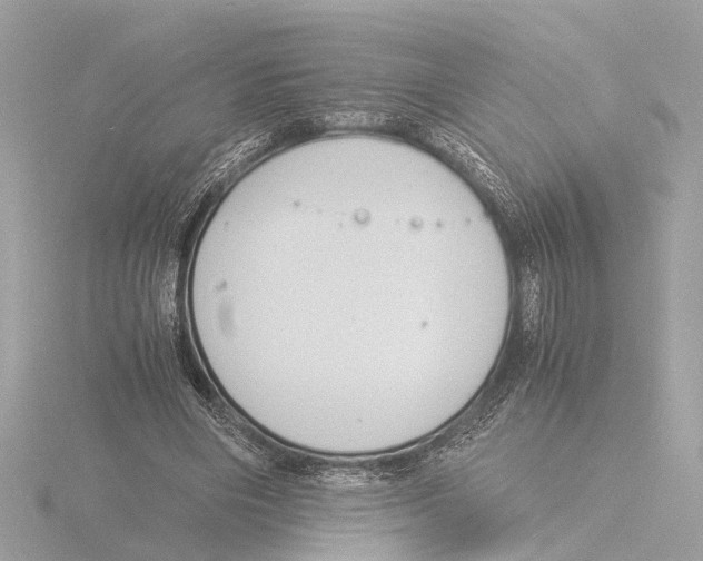 X0000116140490200912211451