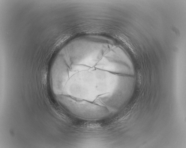 X0000116140491200912211451