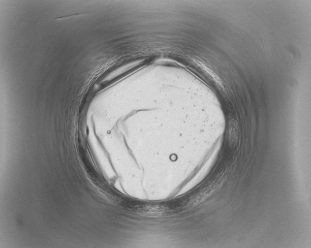 X0000116140493200912211451