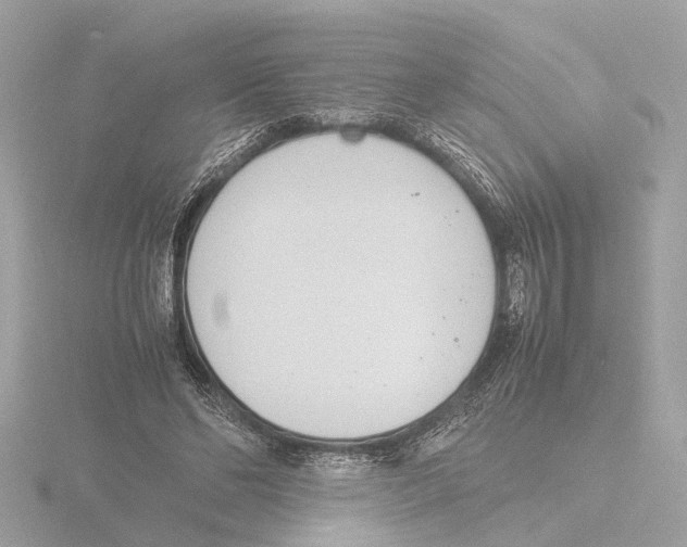 X0000116140494200912211451