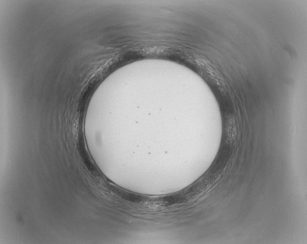 X0000116140495200912211451