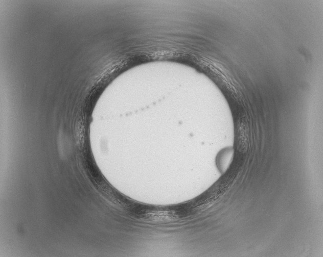 X0000116140499200912211451