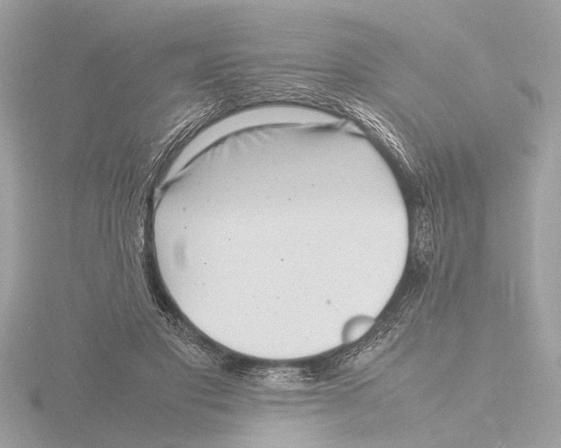 X0000116140501200912211451