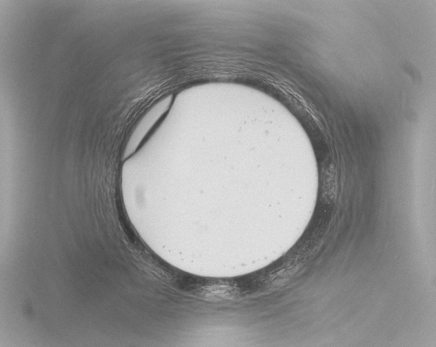 X0000116140505200912211451