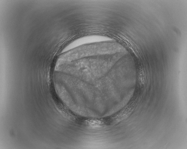 X0000116140512200912211451