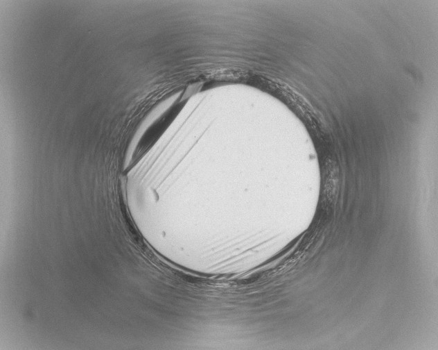 X0000116140513200912211451