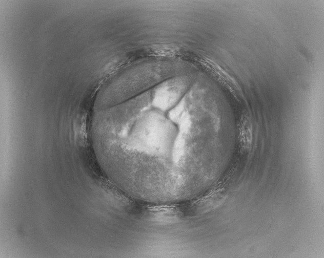 X0000116140516200912211451