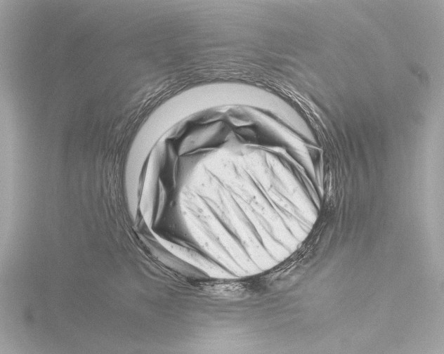 X0000116140517200912211451