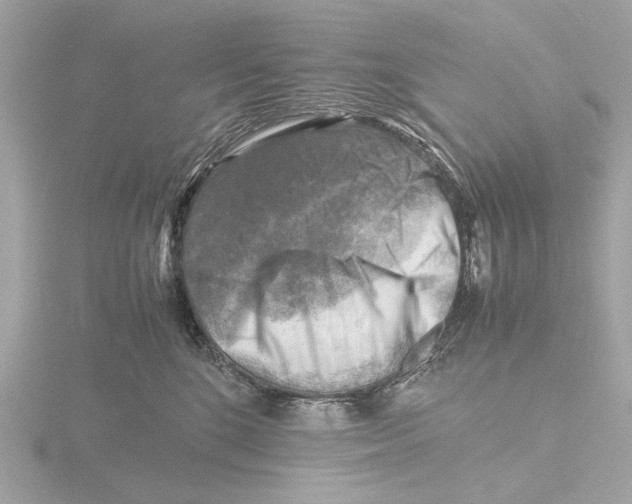 X0000116140520200912211451