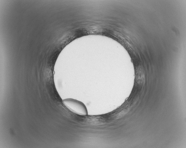 X0000116140523200912211451