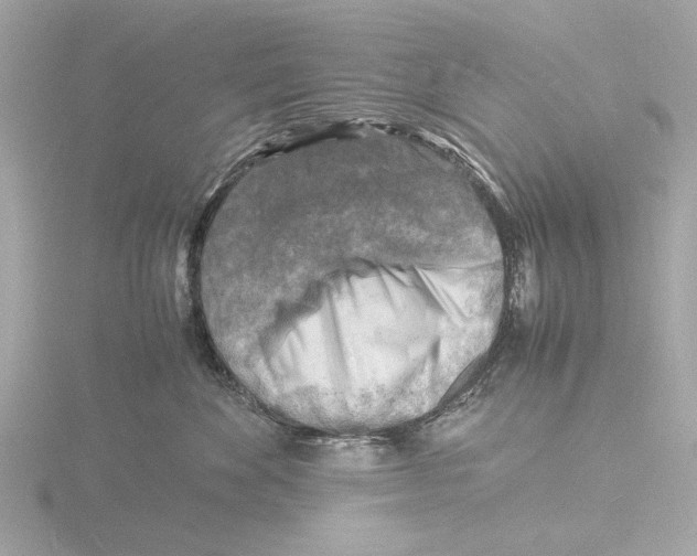 X0000116140524200912211451