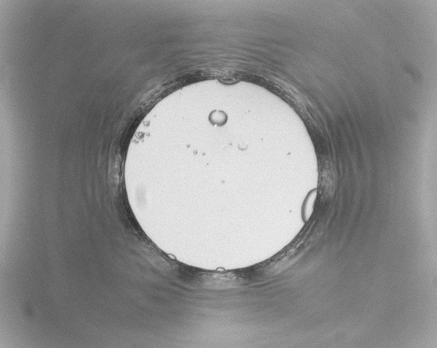 X0000116140525200912211451