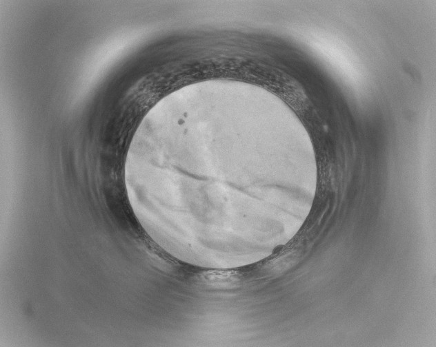 X0000116140526200912211451