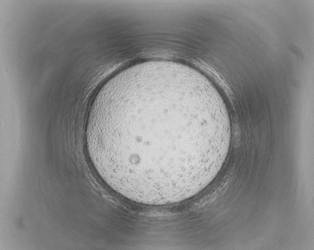 X0000116140529200912211450