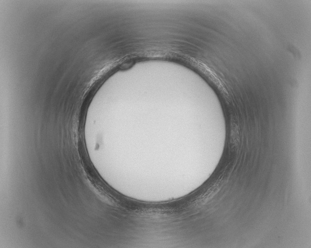 X0000116140530200912211450