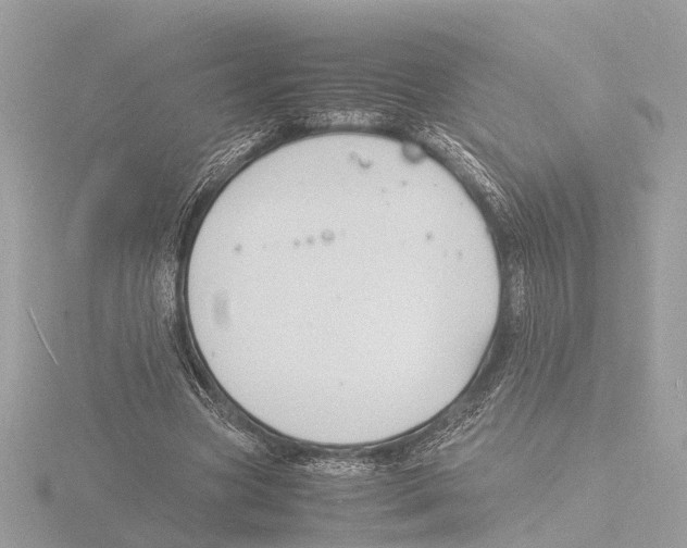 X0000116140537200912211450