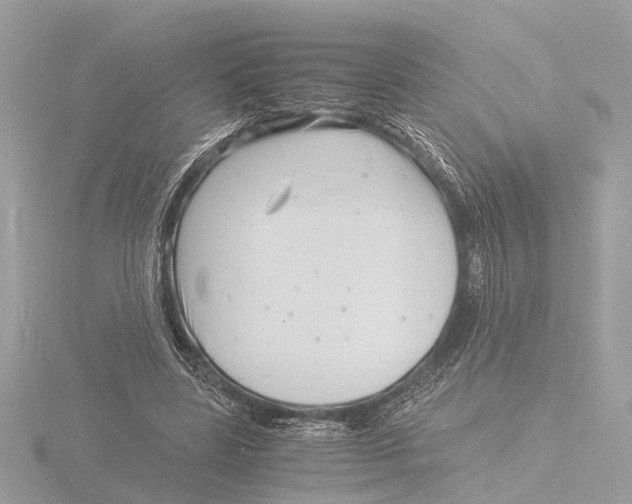 X0000116140539200912211450