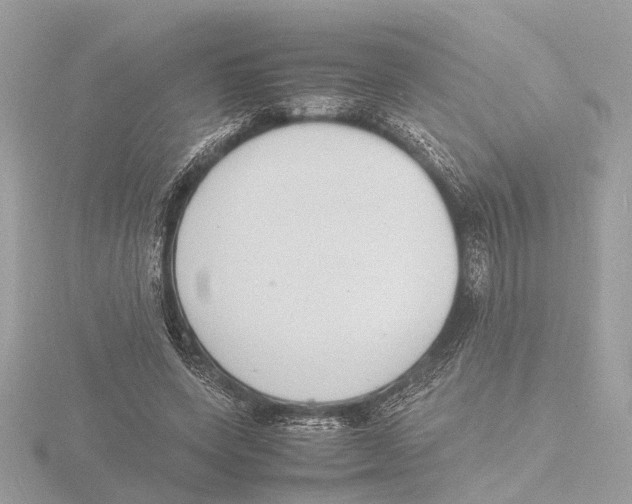 X0000116140543200912211450