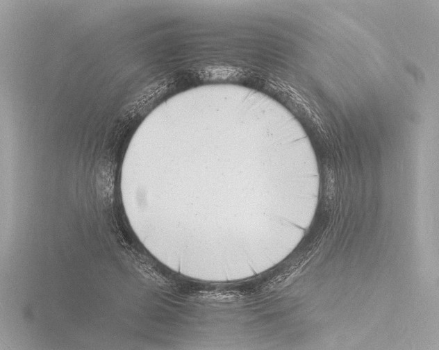 X0000116140545200912211450