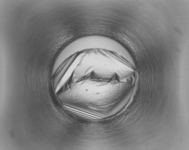 X0000116140546200912211450