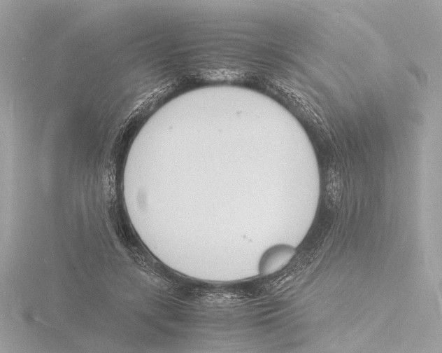 X0000116140547200912211450