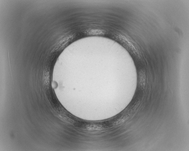 X0000116140549200912211450