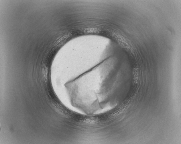 X0000116140550200912211450