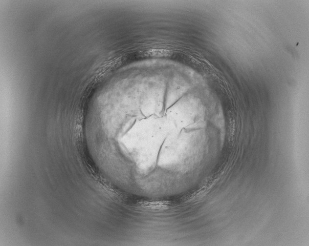 X0000116140553200912211450