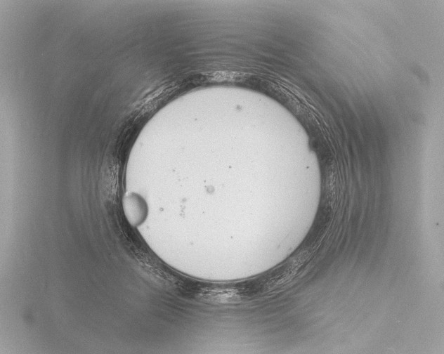 X0000116140554200912211450