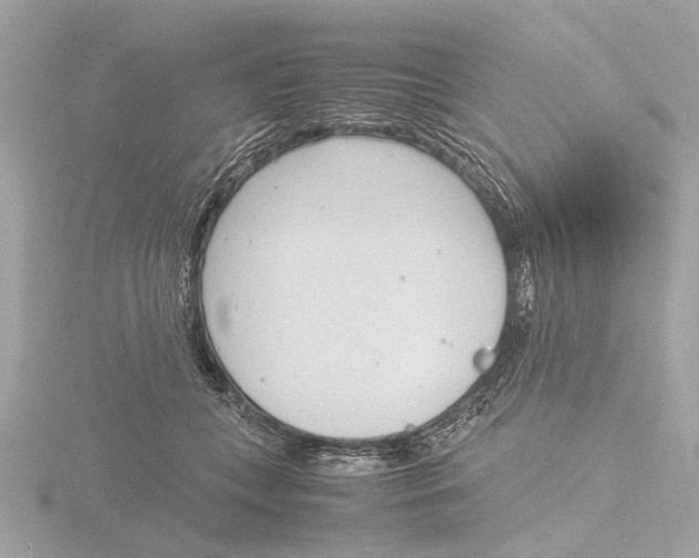 X0000116140559200912211450